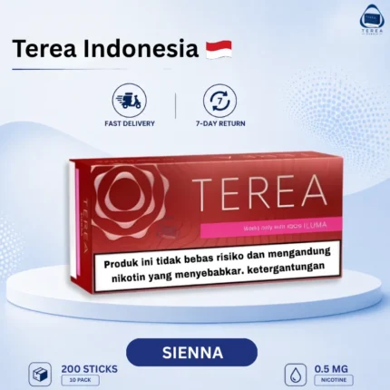 Buy IQOS TEREA Sienna Indonesia in Dubai